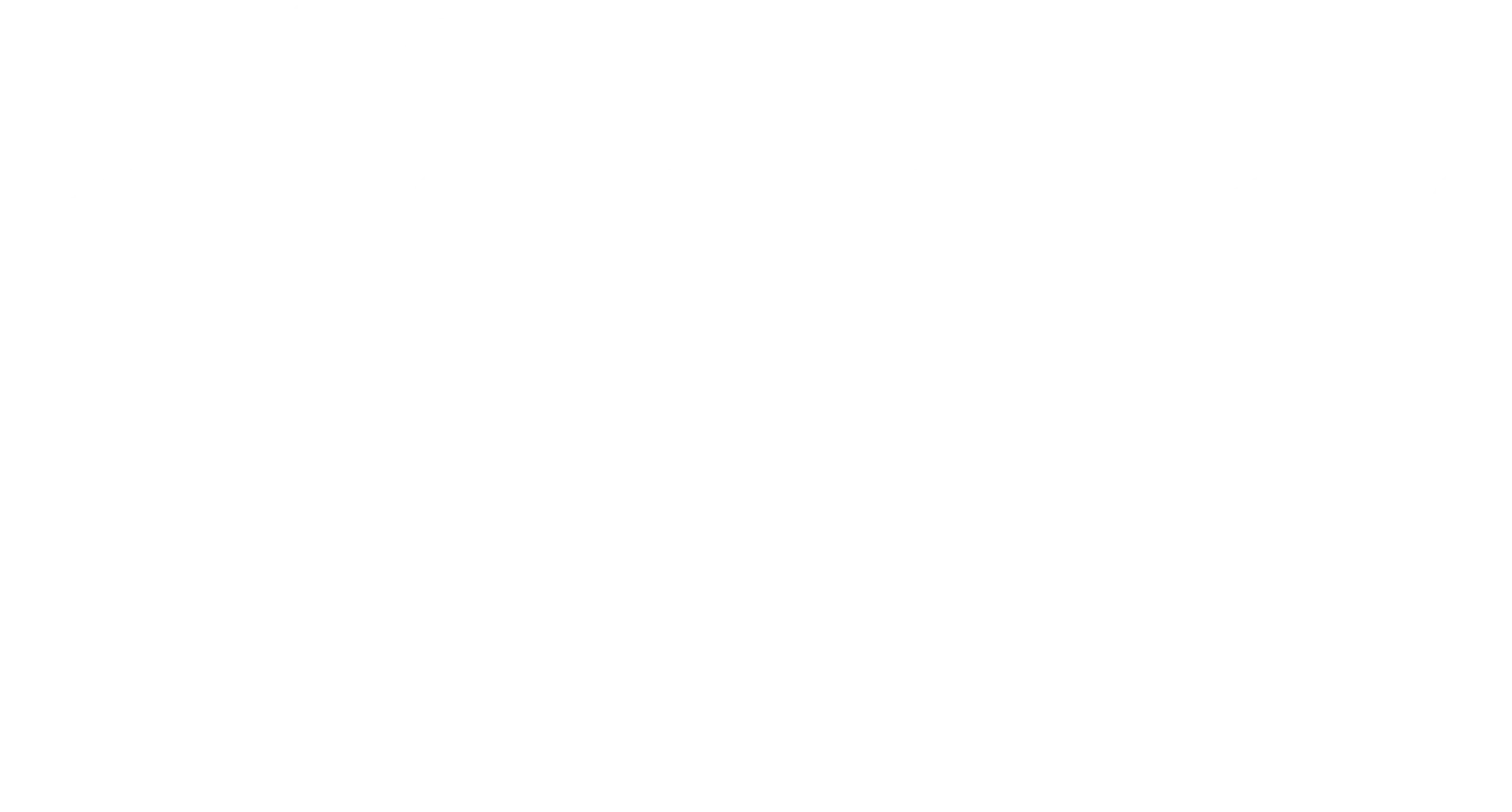 Dima logo